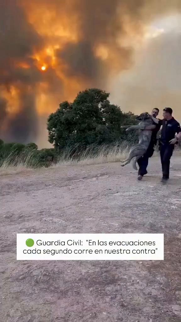 Voz dirige al conductor para arrancar y sacar el coche con cuidado