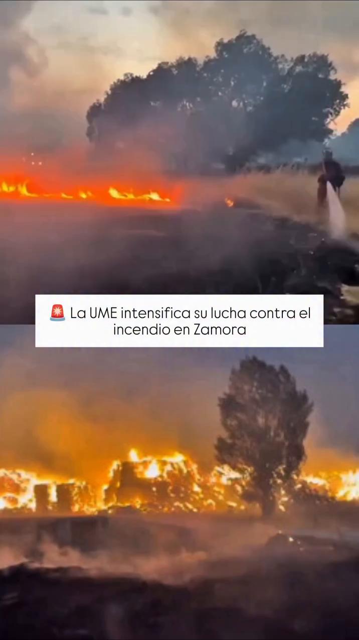 Gracias por ver el video: el mensaje final que cierra el contenido