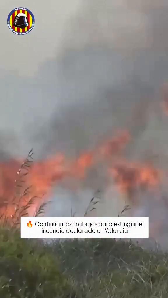 Gracias por ver el video: el mensaje final del contenido