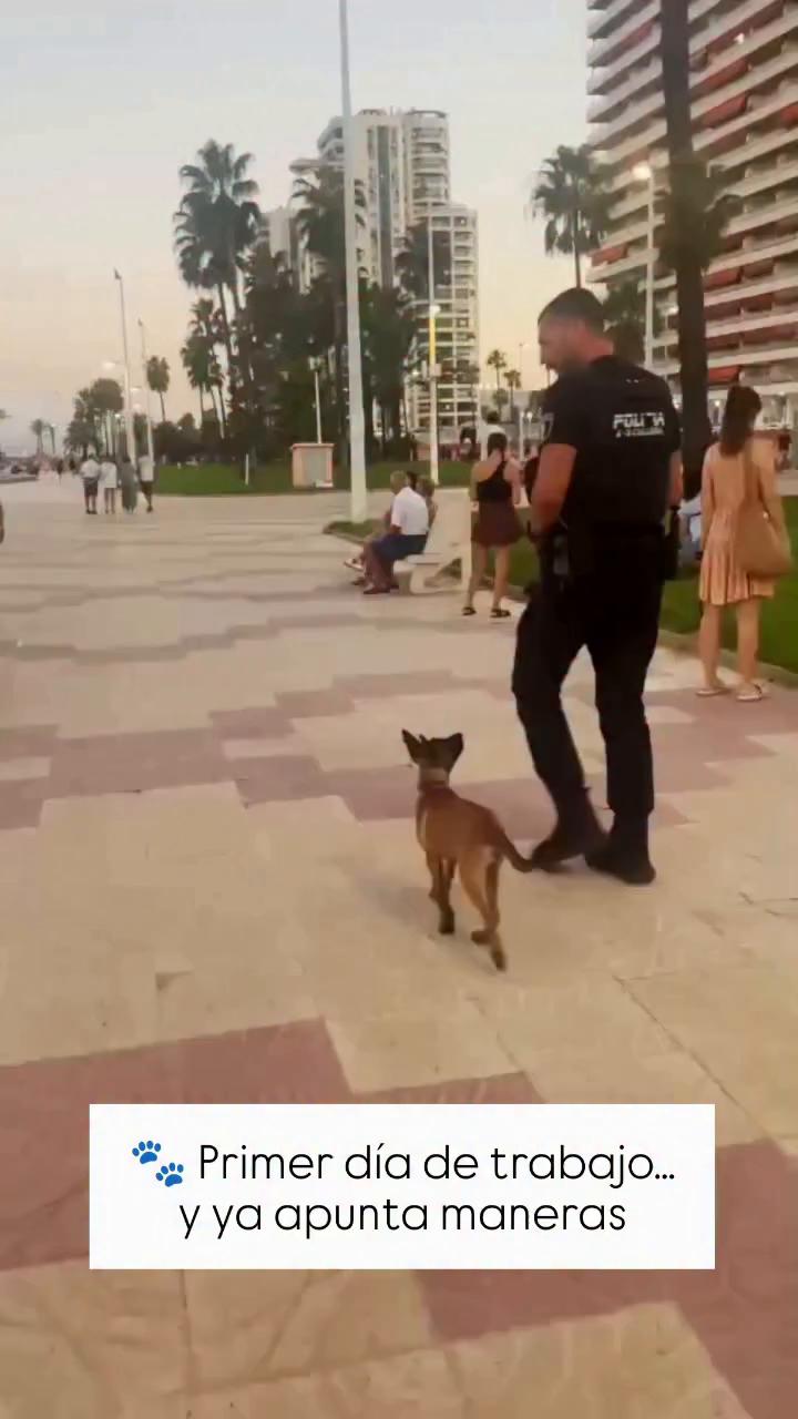 Brief clip captures casual greeting: What's up de you?