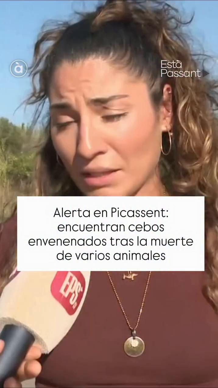 Un veneno ilegal mata a un perro en solo 10 minutos durante un paseo