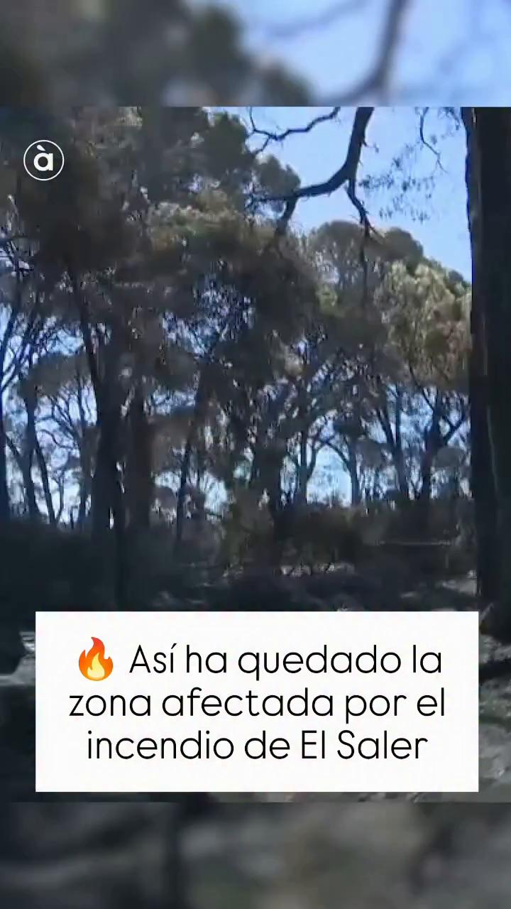 Stavros se repite tres veces en este breve transcript de video