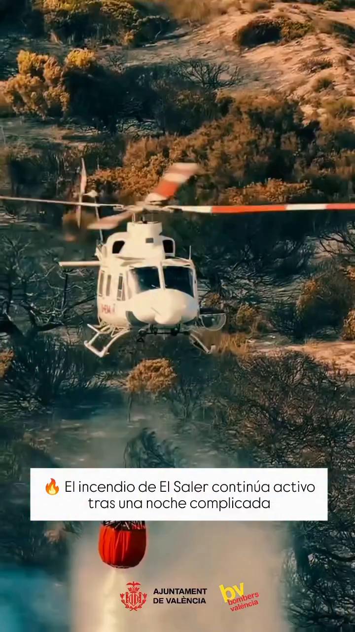 Antarctica Films Argentina acredita su producción con un grito de sorpresa
