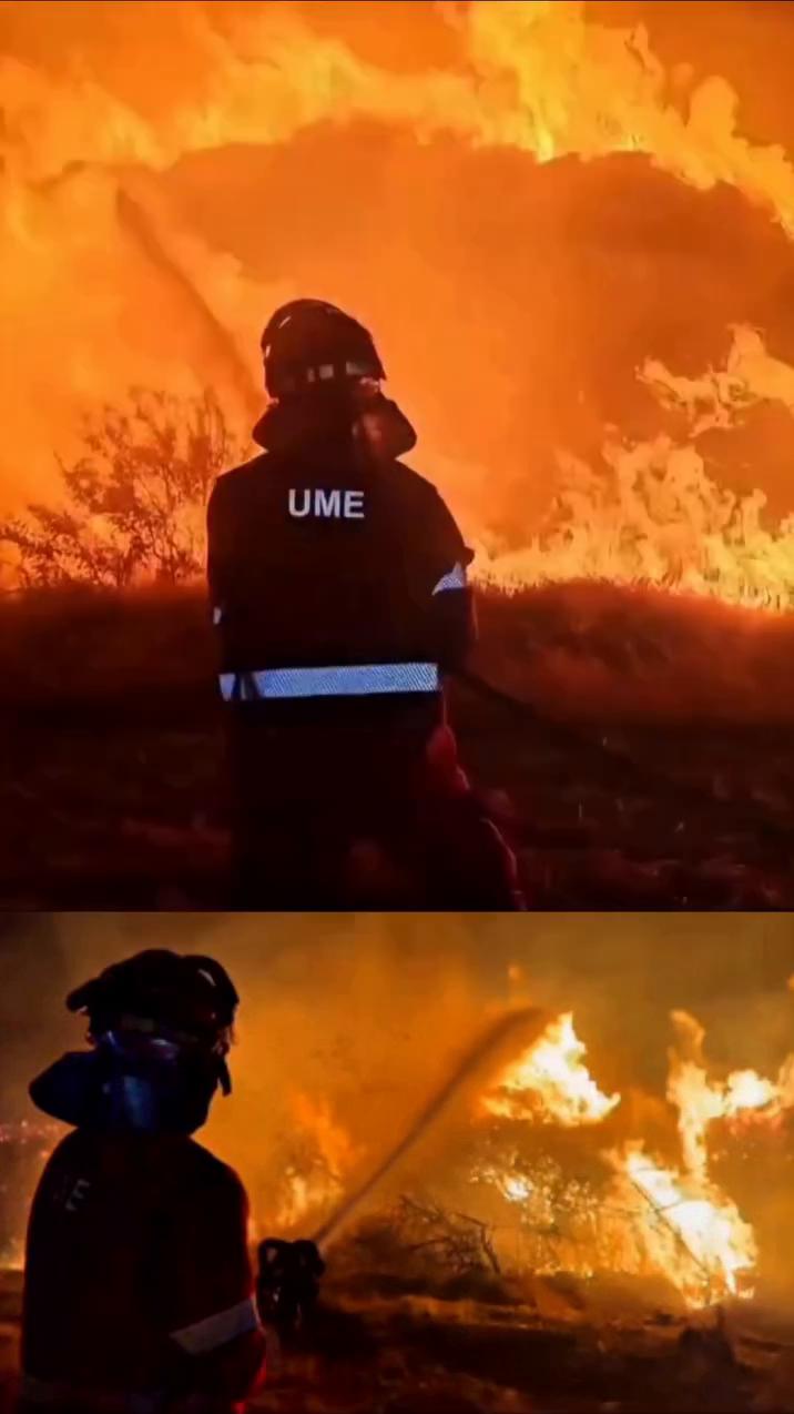 Gracias por ver el video: el mensaje final que cierra el contenido