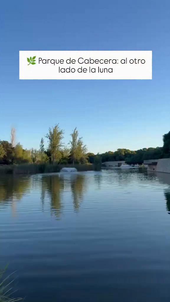 Transcript insuficiente impide análisis detallado del video