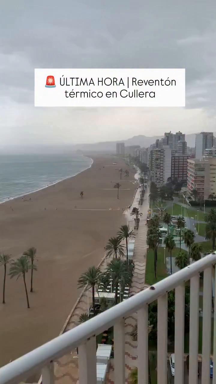 El transcript del video se limita a la palabra Bumper