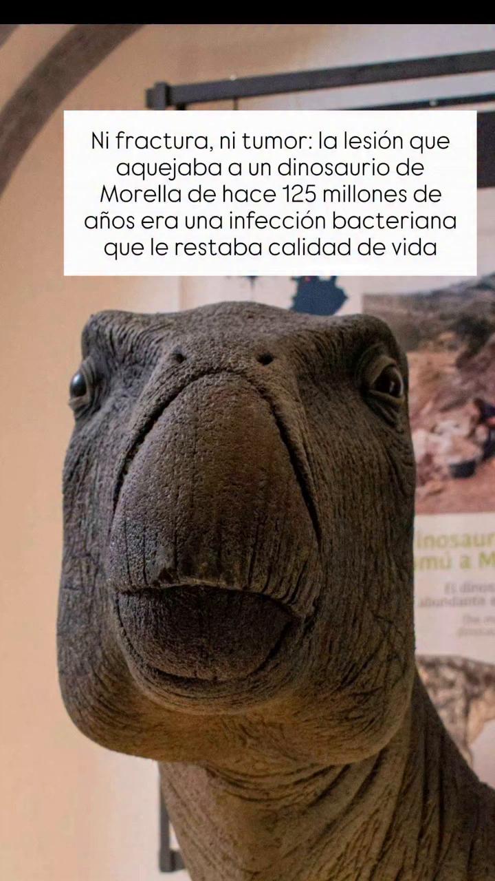 Sin tema claro