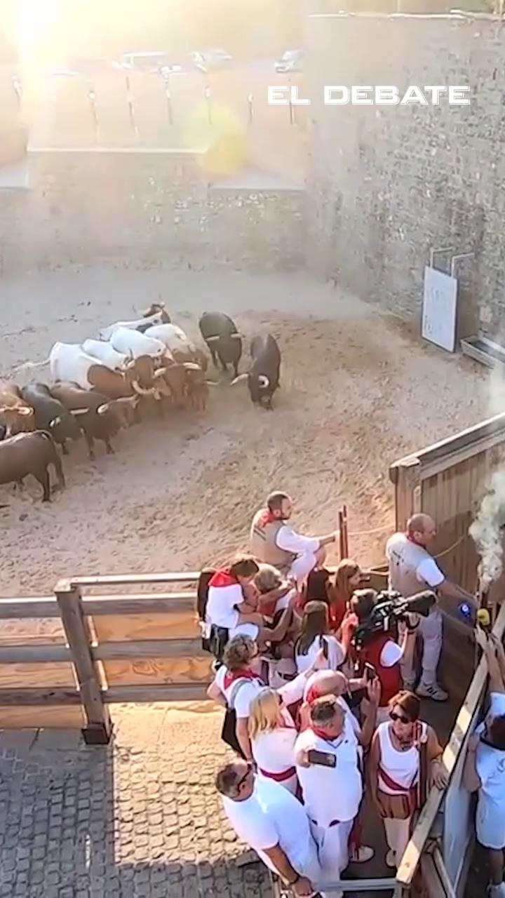 Así ha sido el último encierro de San Fermín: el más accidentado con nueve heridos, dos por asta
