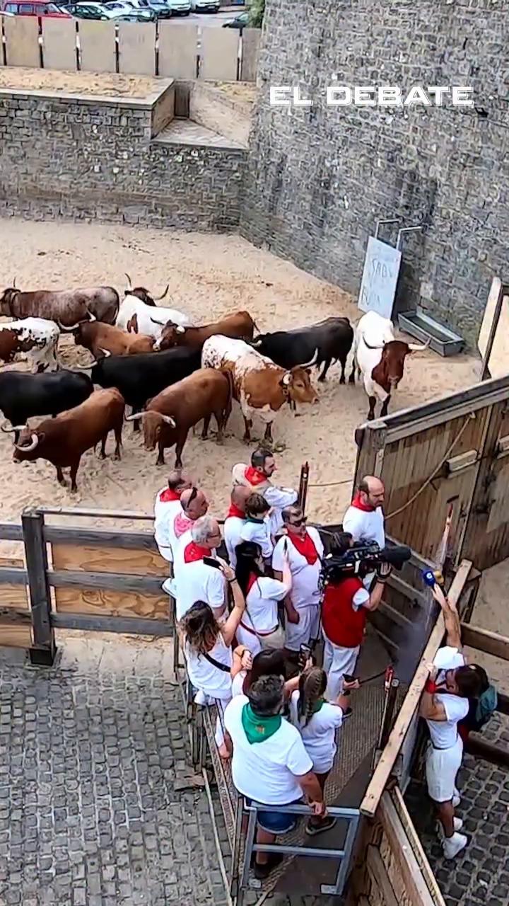 Así ha sido el cuarto encierro de San Fermín 2026 con ganadería de Álvaro Núñez