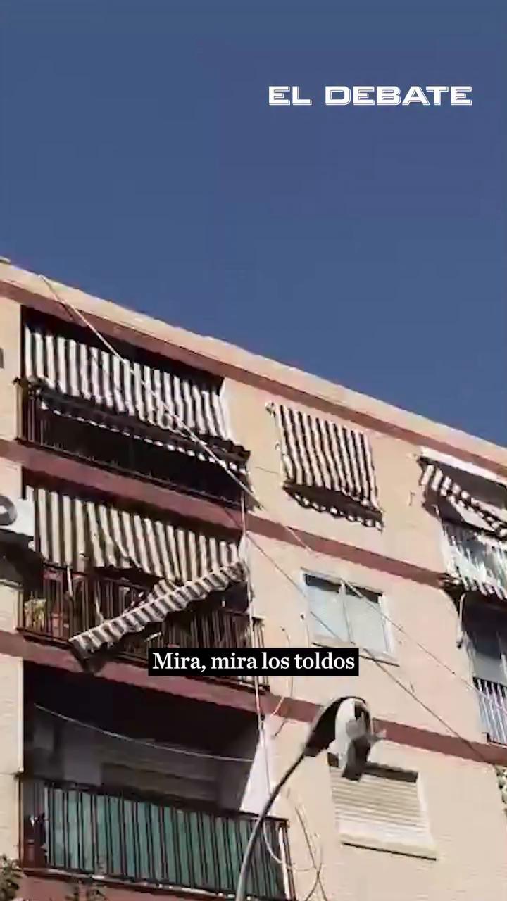 Estructura se derrumba con ladrillos en zona sin transeúntes