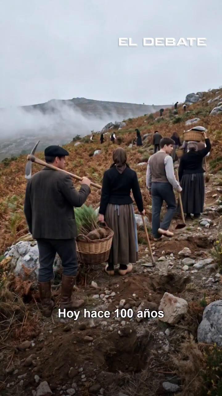 Hace 100 años: Pontevedra repoblará 30.000 hectáreas de monte en cinco años