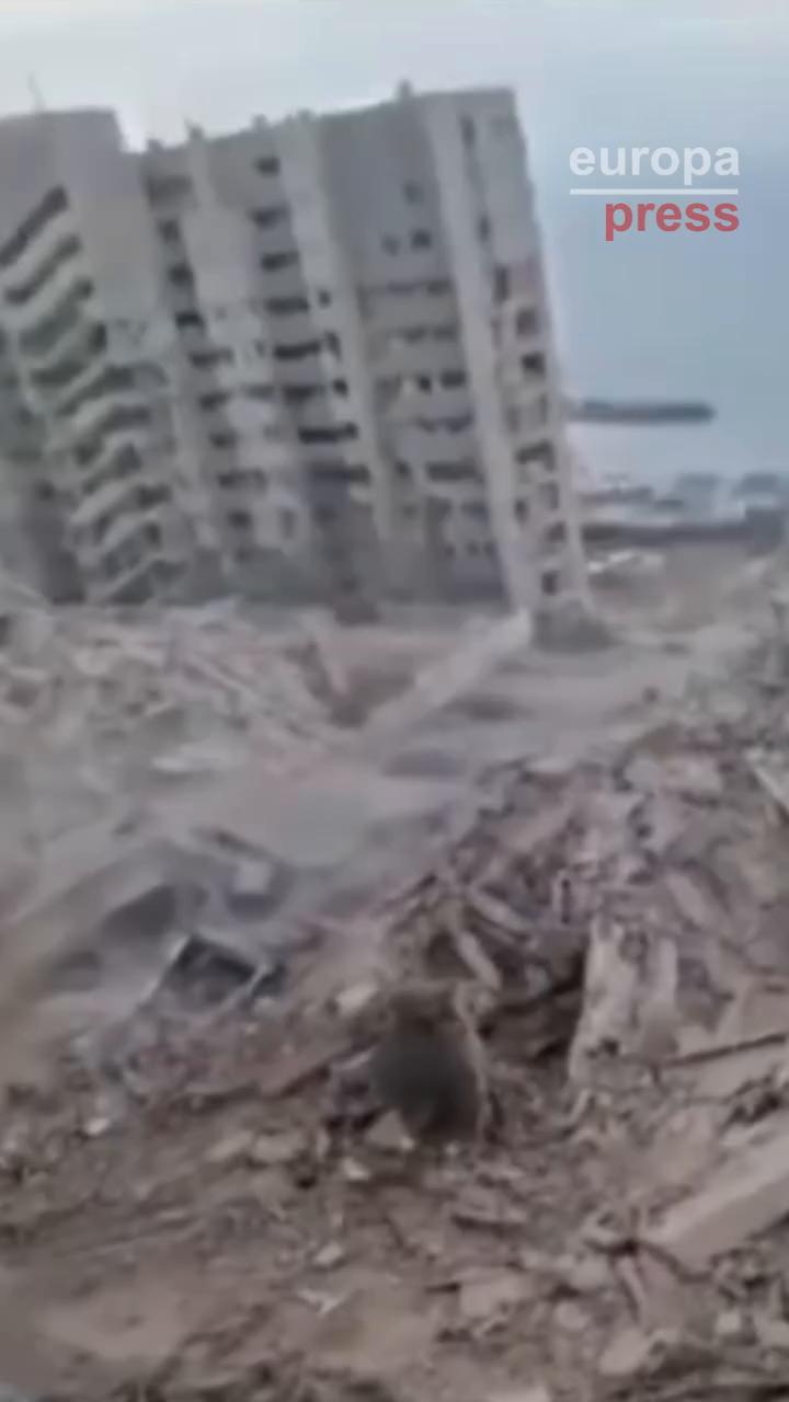 The video concludes with a simple thank you message