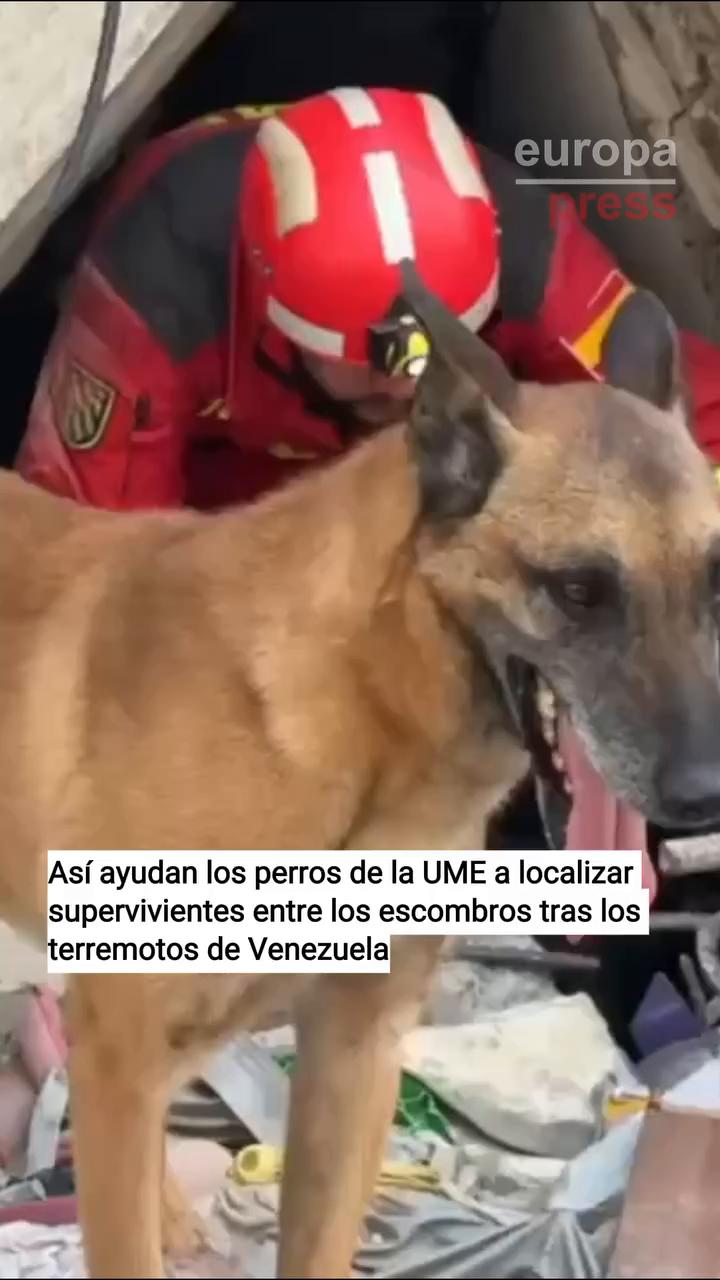 Música de fondo sin diálogo ni narración en el video