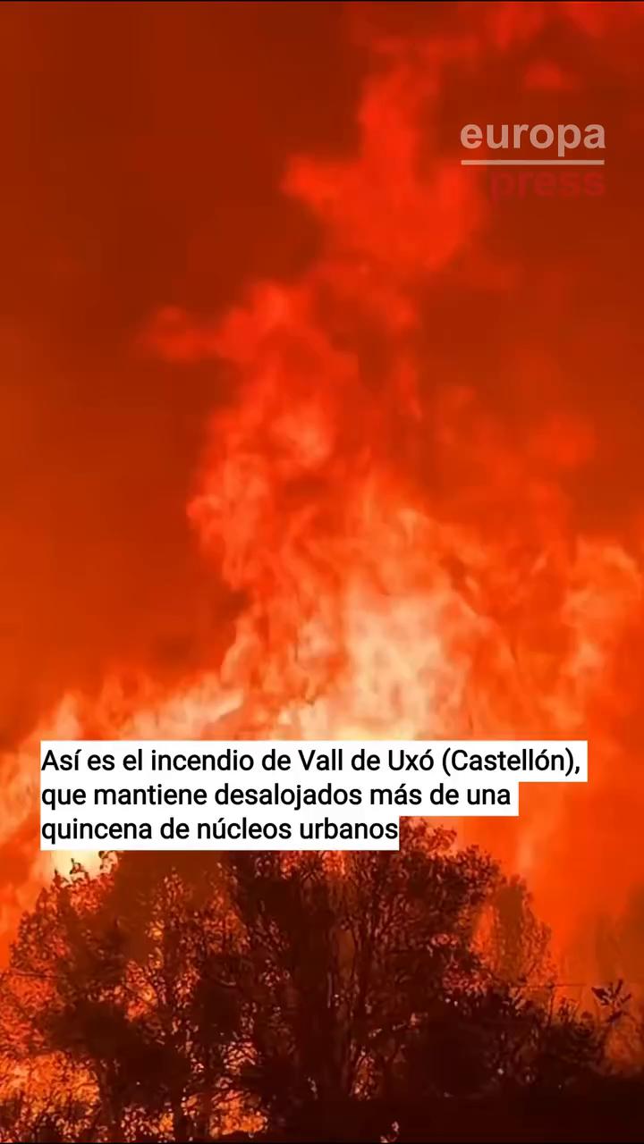 El video concluye con un simple mensaje de agradecimiento