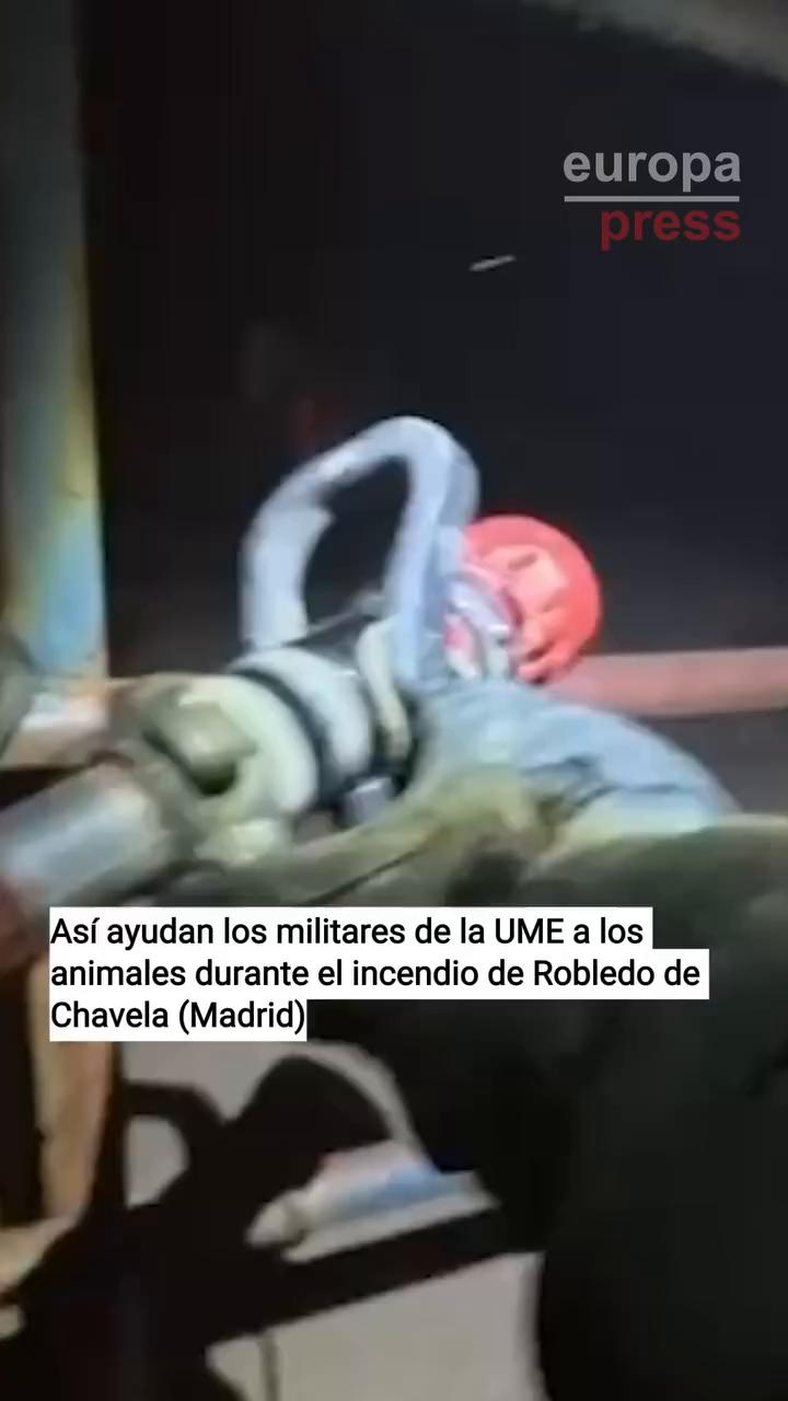 Frase 'que te hemos salvado' aparece como única transcripción del video