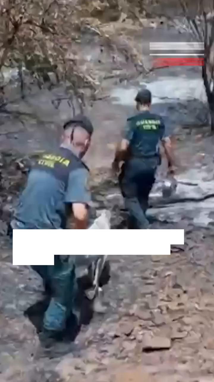 El video concluye con música y un mensaje de gracias