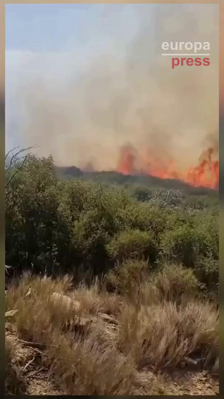 El video finaliza con un agradecimiento a los espectadores
