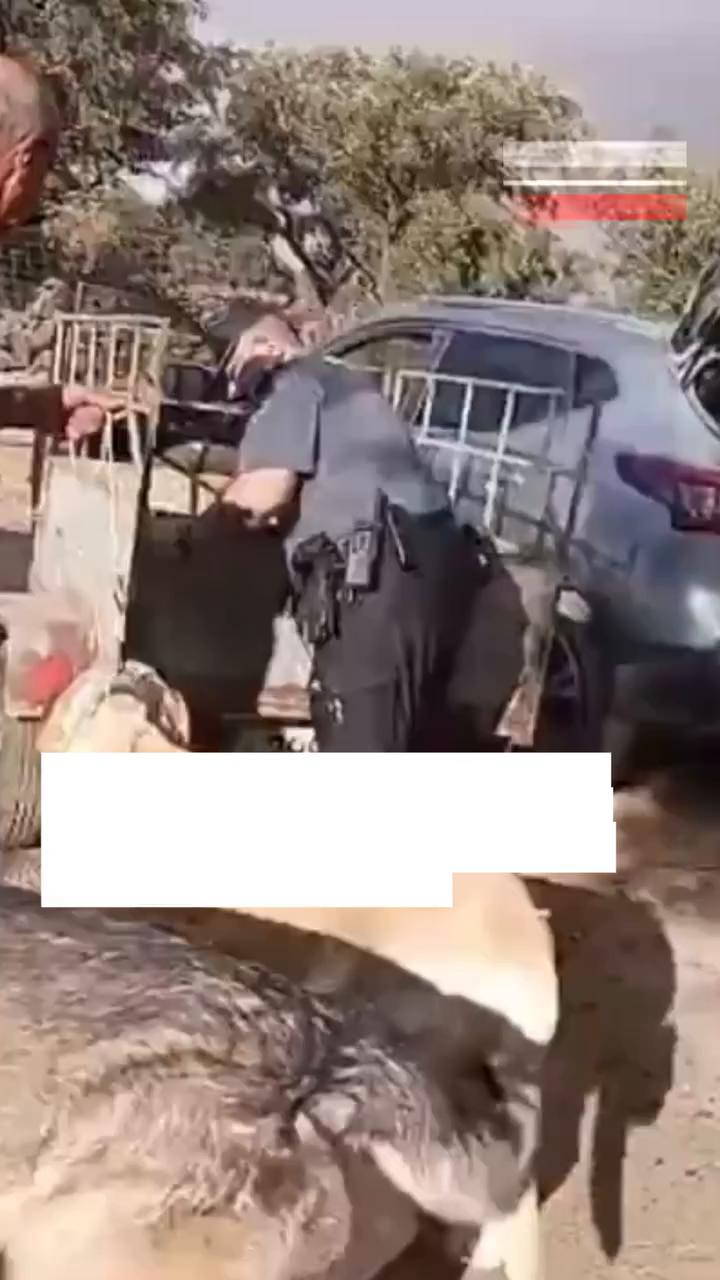Gritos y forcejeos revelan operativo con códigos policiales en vivienda