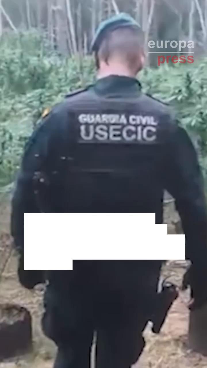 Video transcript contains only standard closing phrase thanks for watching
