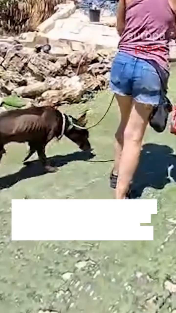 Video ends with simple thanks to all viewers watching
