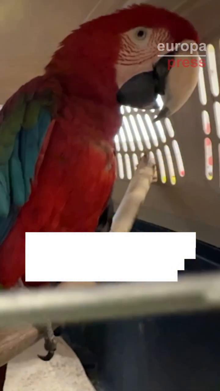 Video ends with standard thanks for watching message to audience