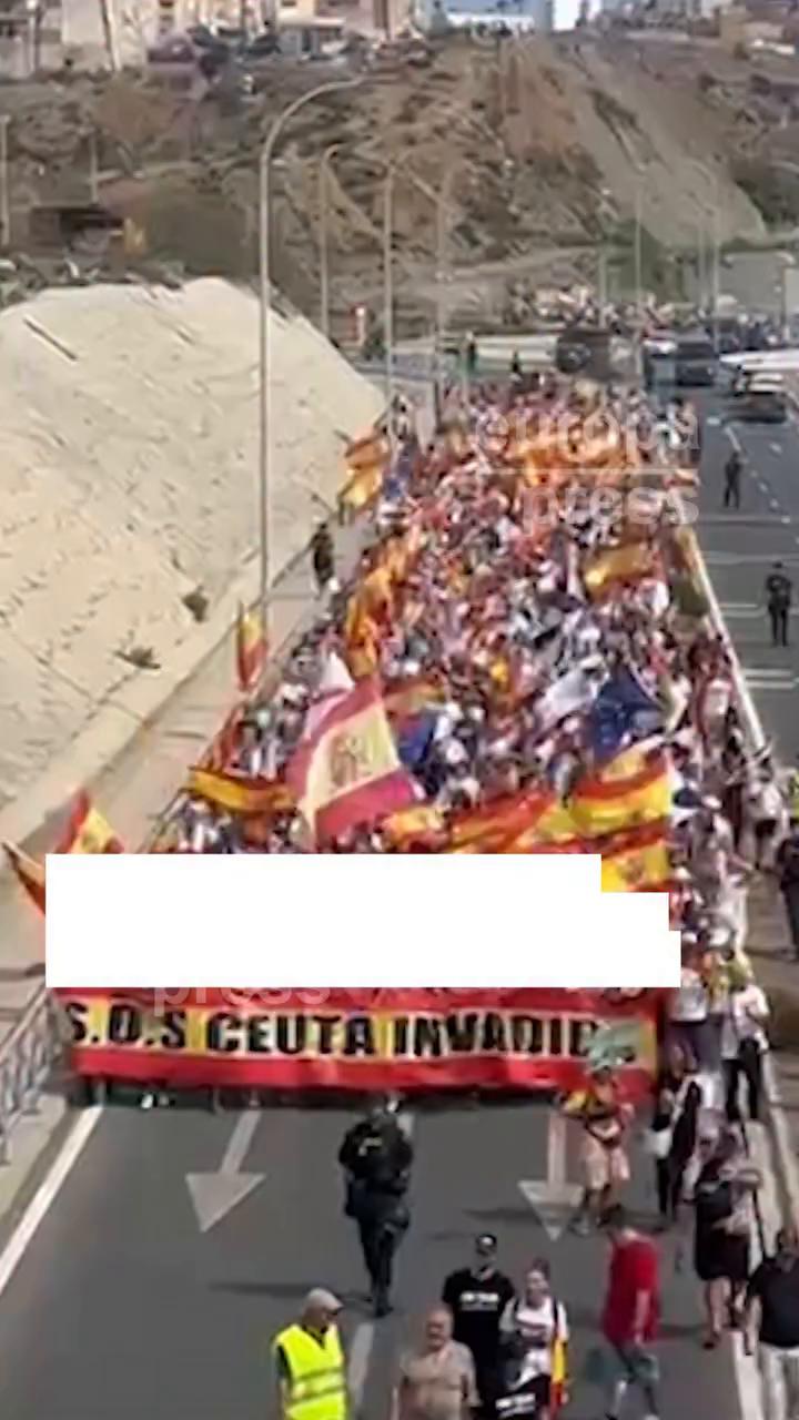 Un caballo nunca se viste: la frase repetida que sorprende sin contexto