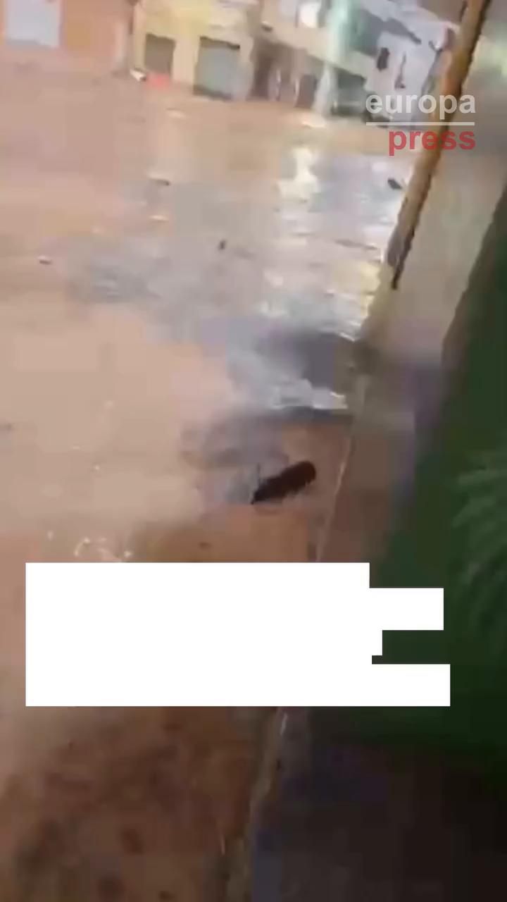 Speaker Delivers Repeated Thanks to Conclude the Video