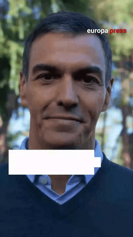 El jefe del Ejecutivo, Pedro Sánchez, ha dado la 