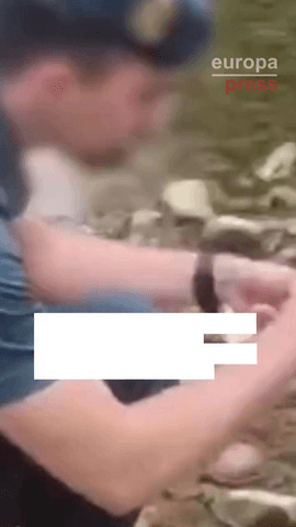 Detenido un joven por usar una red japonesa de grandes dimensiones para atrapar pájaros en el río Nela (Burgos).