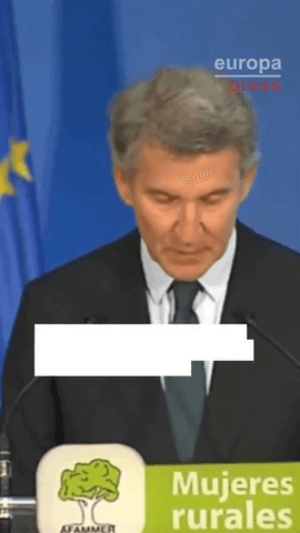 El líder del PP, Alberto Núñez-Feijóo: 