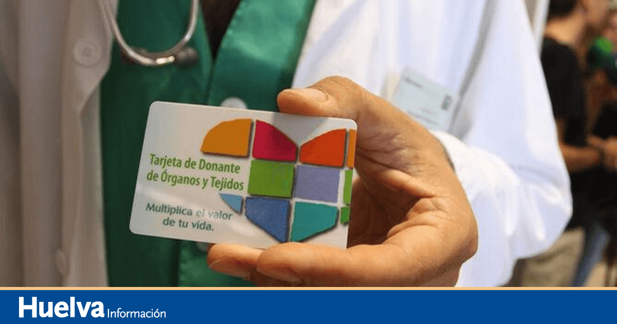 Hacerse donante de órganos en Andalucía requisitos y pasos