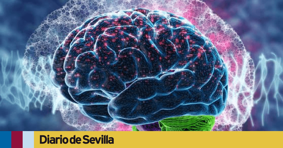 El ''secuestro de la amígdala'' Cuando el miedo se apodera de nuestros pensamientos racionales El ''secuestro de la amígdala'' Cuando el miedo se apodera de nuestros pensamientos racionales