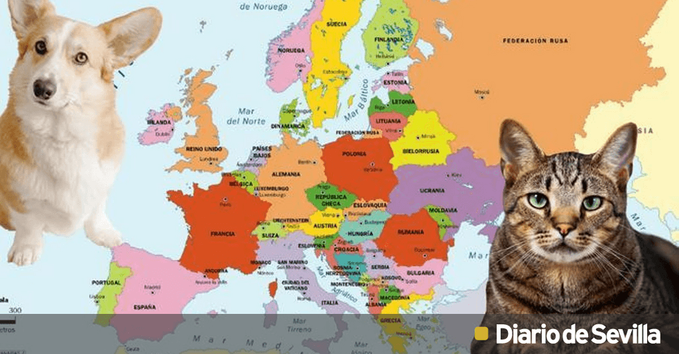 son los perros o los gatos más populares en europa