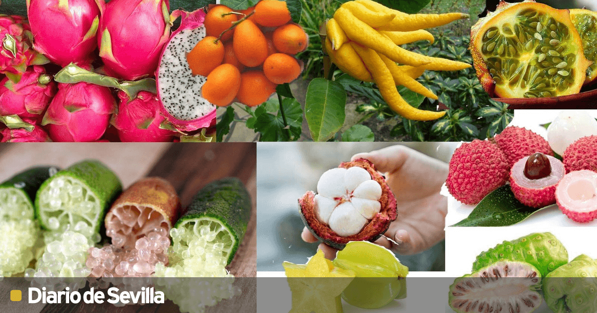 lista de nombres de todas las frutas