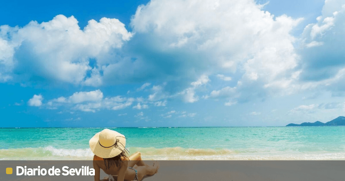 4 bikinis de Zaful que ser n tendencia este verano a un precio