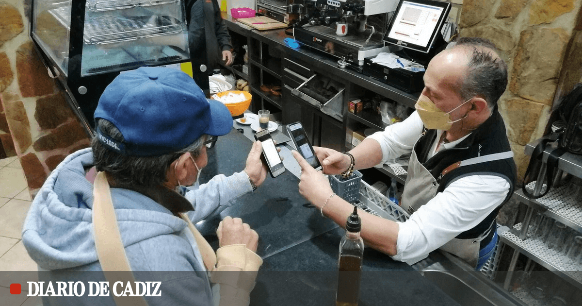 Certificado Covid Los despistados, a la terraza