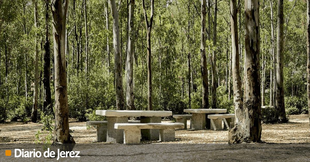 El 'bosqueisla' de Jerez que en el pasado fue un depósito de