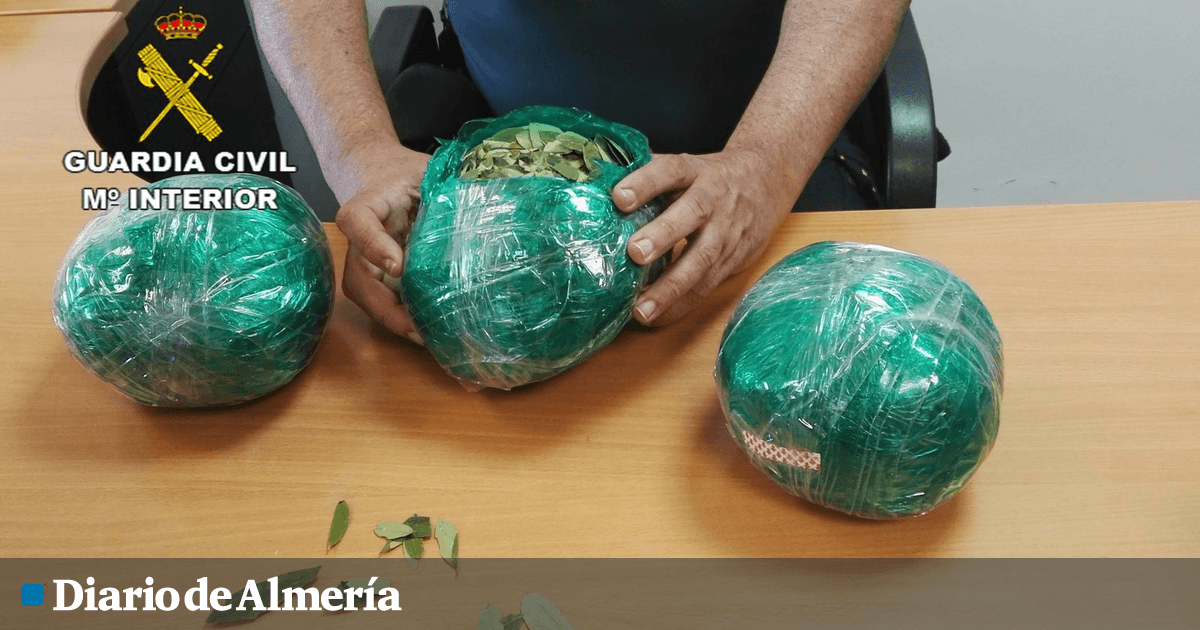 La Guardia Civil interviene en el aeropuerto más de tres kilos de hojas