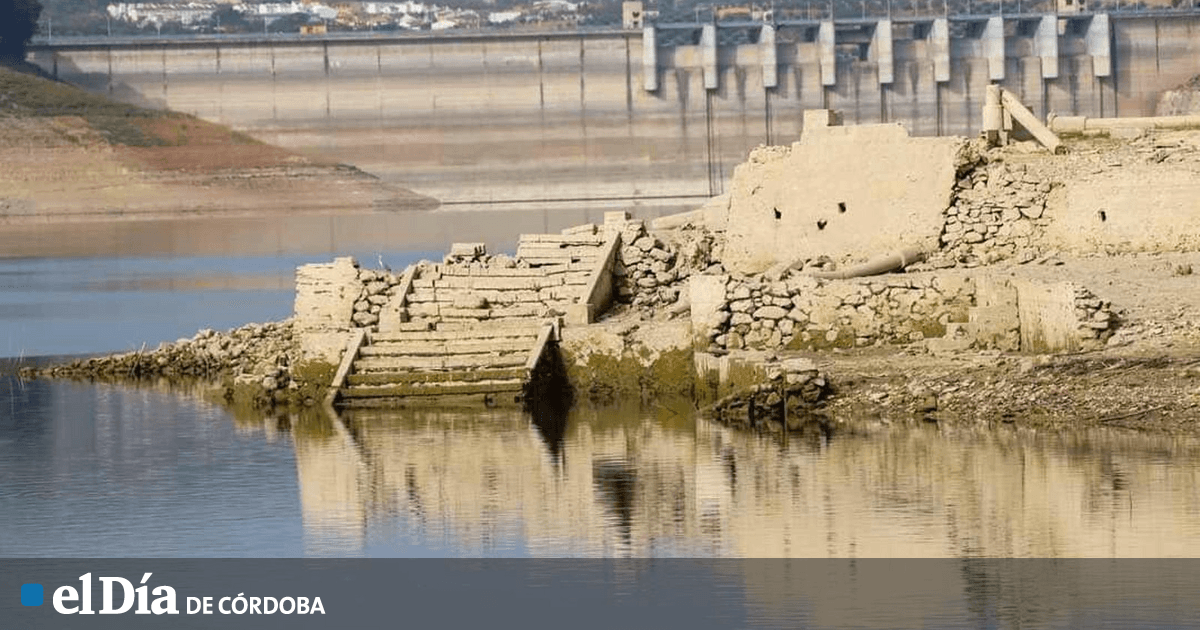 fondo de pantalla del pantano del sur