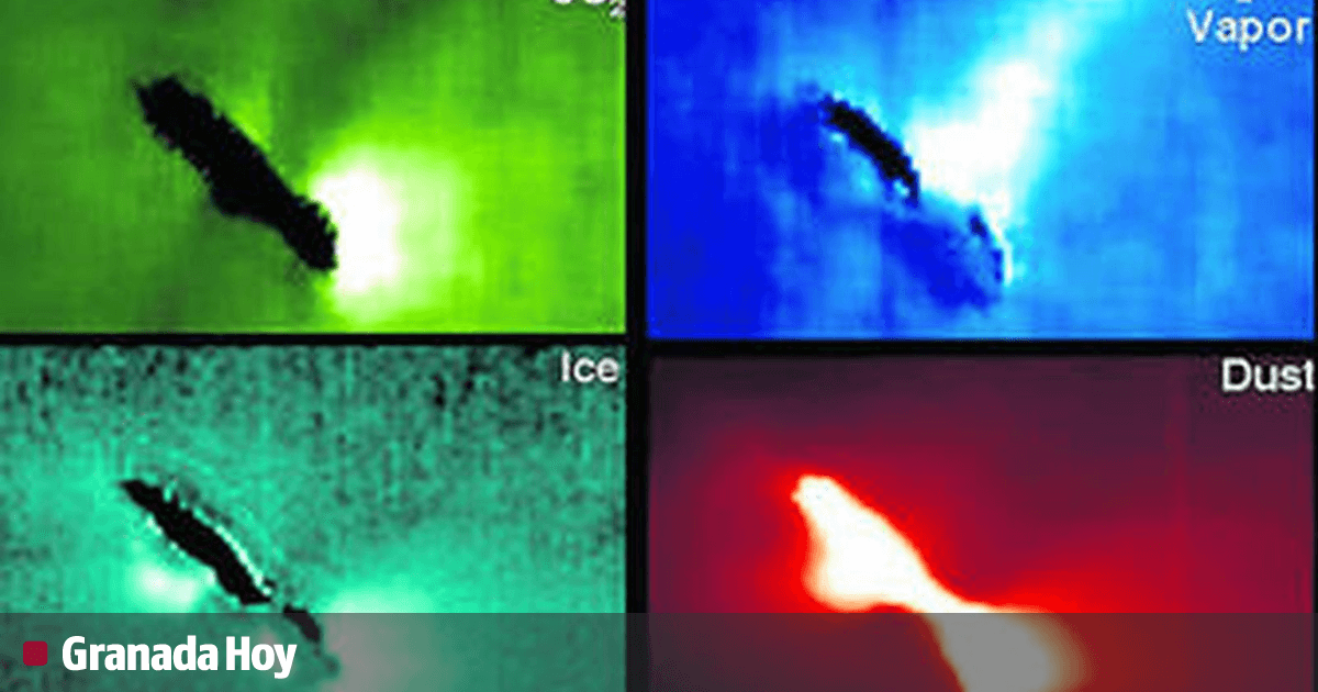 cotizaciones del corredor de la cometa del árbol de granada