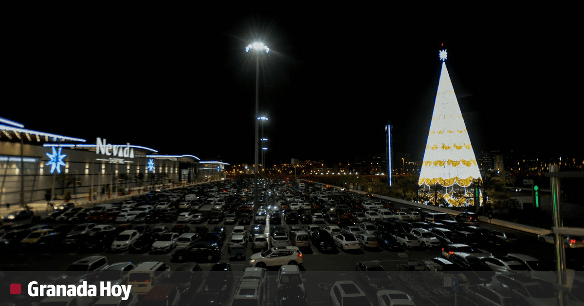 cotizaciones del corredor de la cometa del árbol de granada