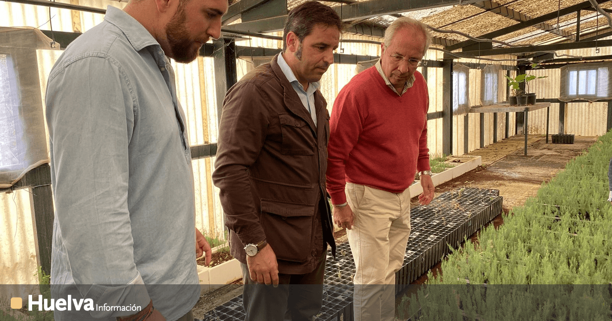 El vivero de la Junta de Andalucía en Higuera de la Sierra produce más