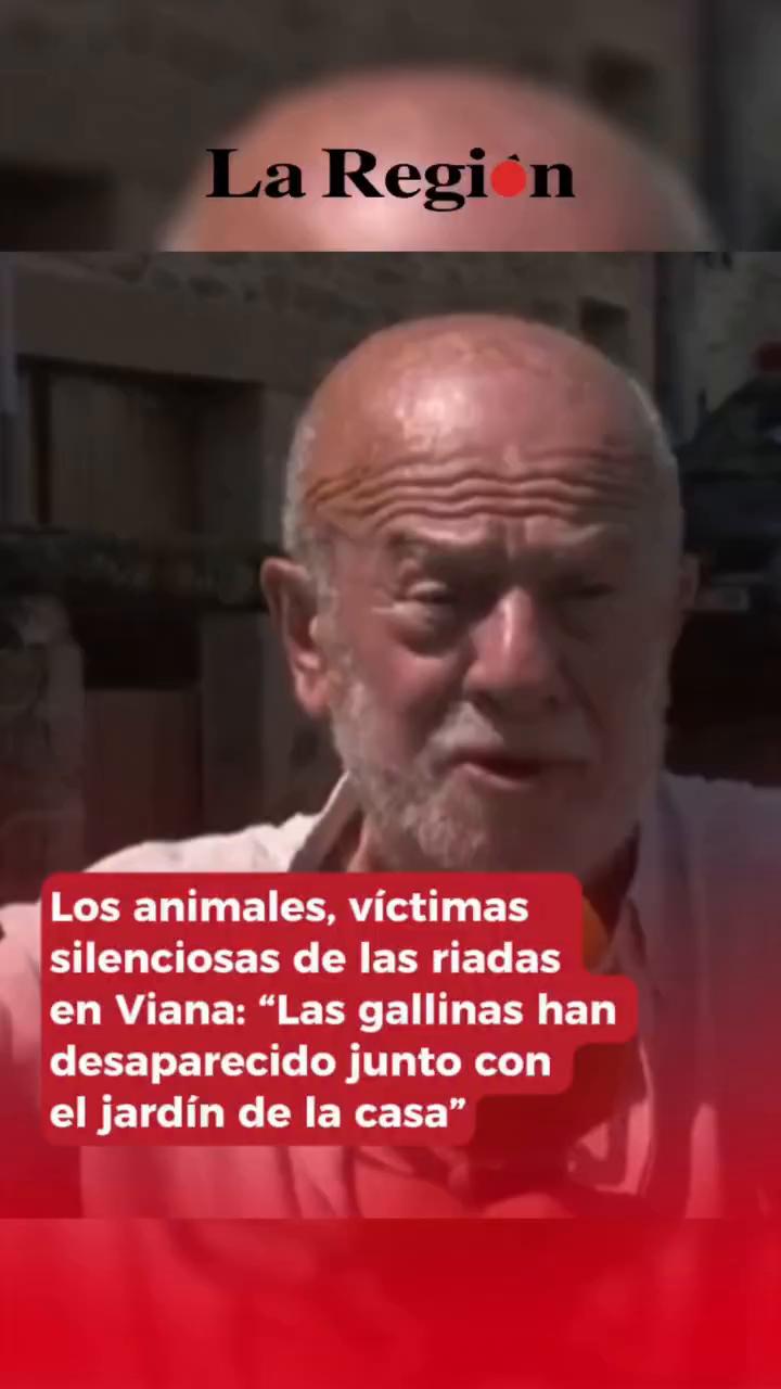La tormenta arrasó todo en cinco minutos: vecinos pierden animales y fincas
