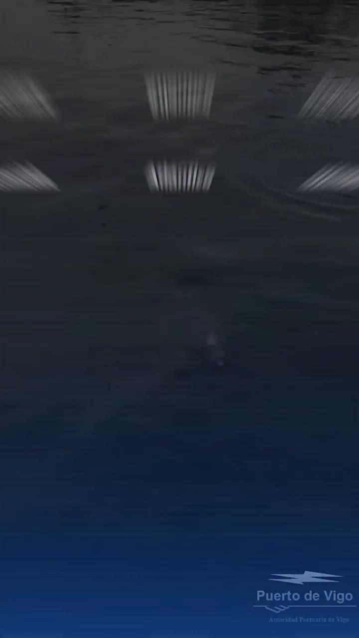 Video ends with a simple thank you message to viewers