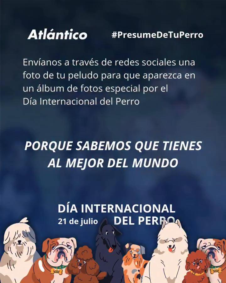 Sin tema claro