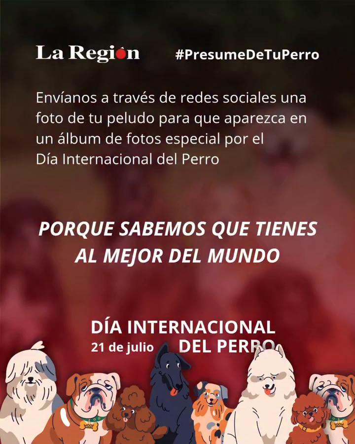 Sin tema claro