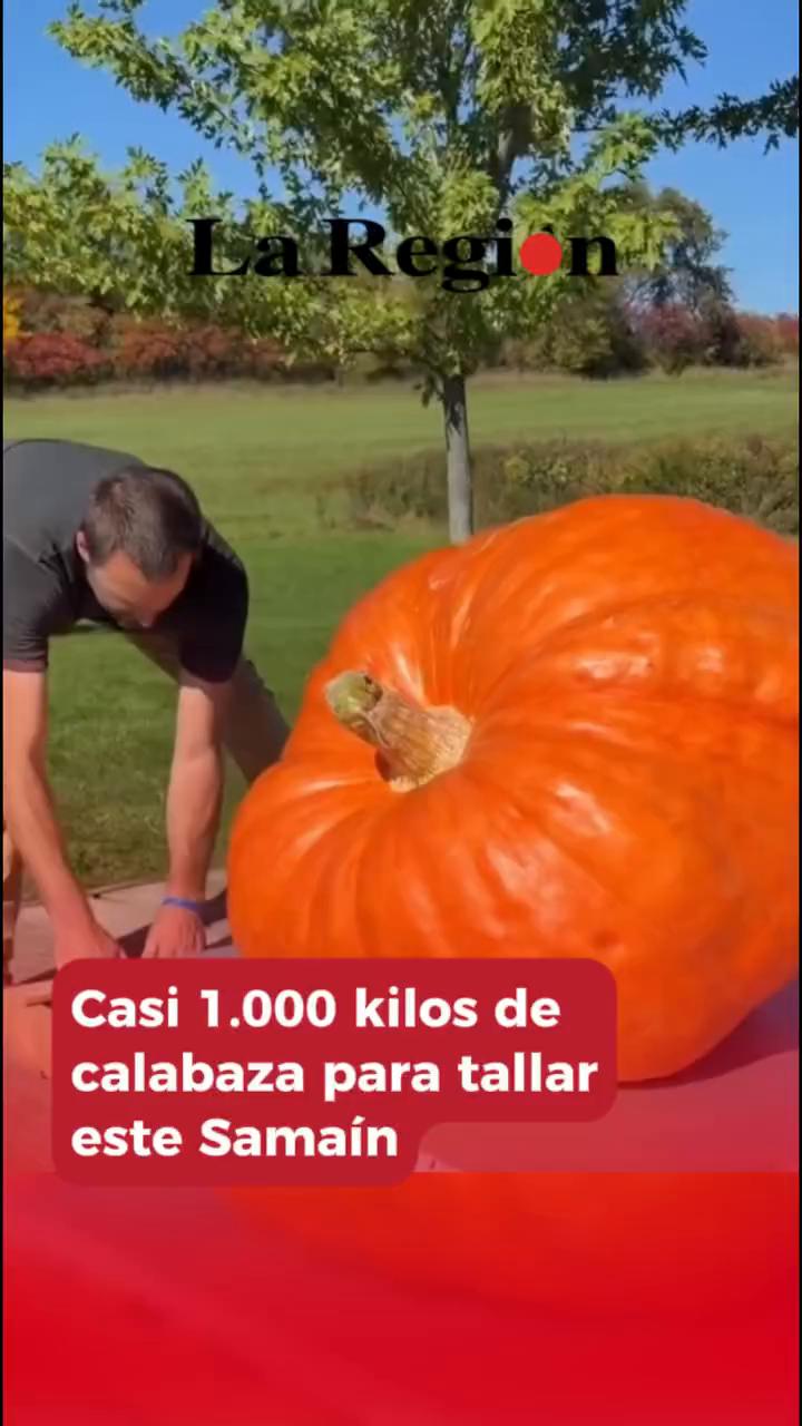 Sin tema claro