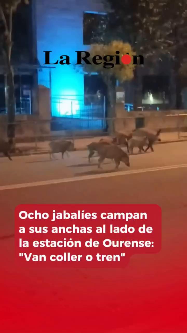 Video breve se limita a un agradecimiento sin más contenido