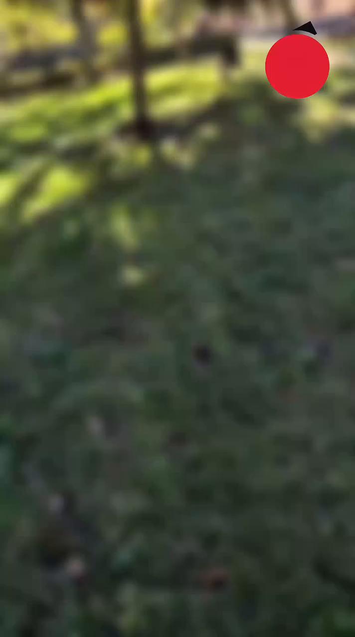 Mujer grita horrorizada mientras su mascota destroza a su presa