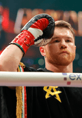 México es más que Canelo en el boxeo